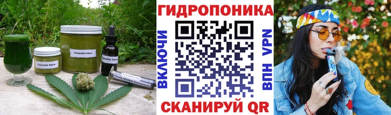 Купить закладки  Алзамай  Cannafood конопля 