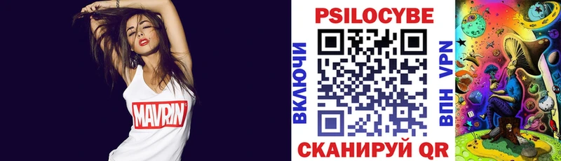 Купить  Алзамай  Псилоцибиновые грибы MAGIC MUSHROOMS 