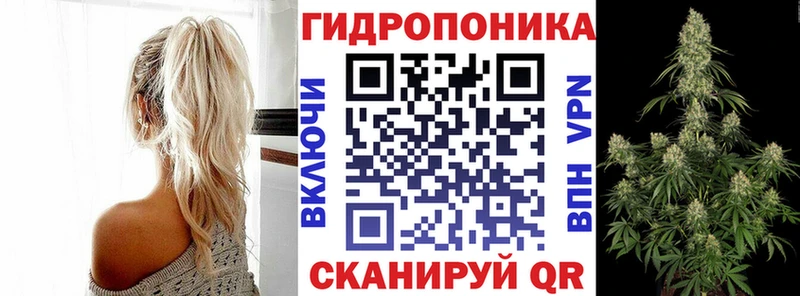 Канабис конопля  Купить закладки  Алзамай 